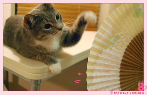 gift_from_sumiko_san_noa-ash_08.jpg