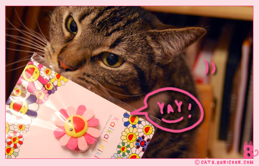 murakami_noa_ash_2.jpg