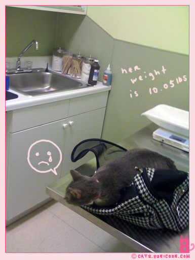 ash_at_the_vet_iphone_03.jpg
