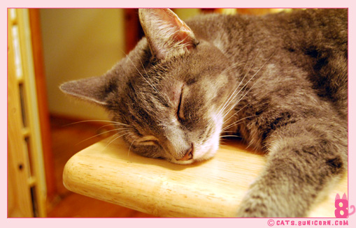 ash_itching_food_01051.jpg