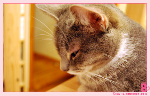 ash_itching_food_0108.jpg