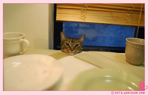 blunch_with_noa_01.jpg