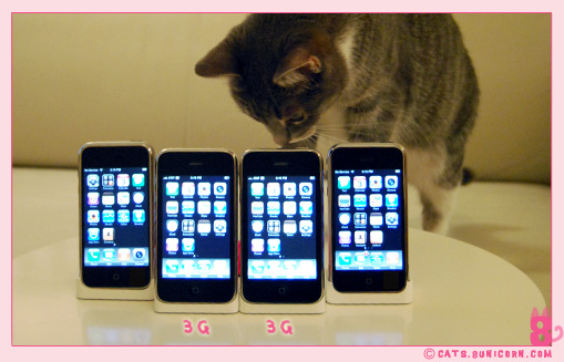 iphone_noa_ash_3g_001.jpg