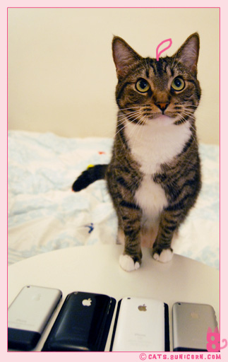 iphone_noa_ash_3g_03.jpg