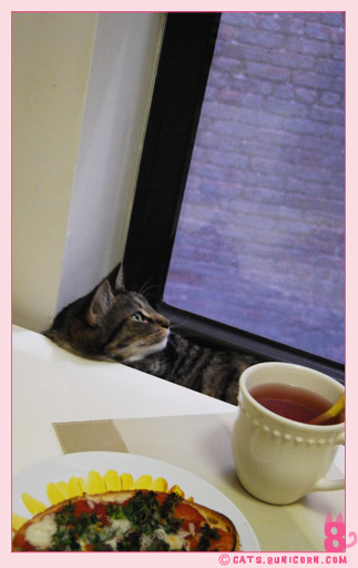 noa_company_kitchen_10.jpg