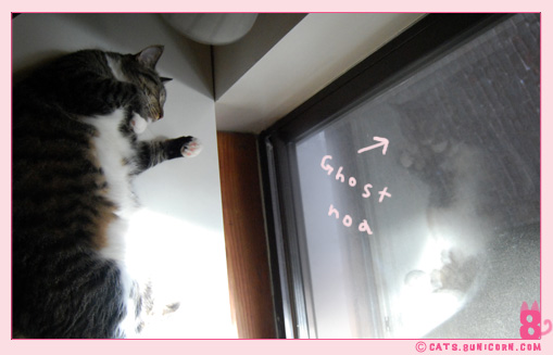 funny_noa_010.jpg