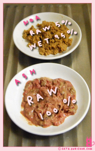 yummy_yogourt_05.jpg