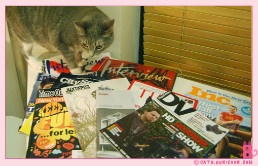 ash_subscribe_mags_15.jpg
