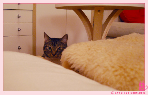 ash_noa_at_home_01.jpg