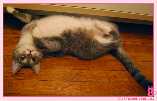 ash_noa_at_home_0111.jpg