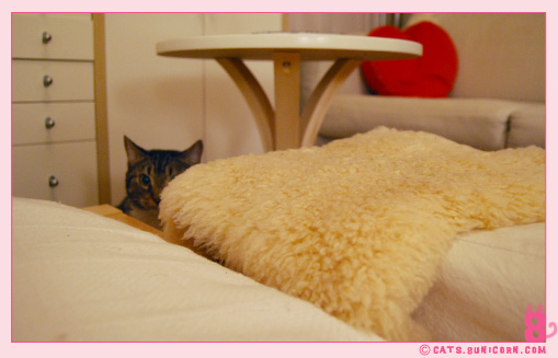ash_noa_at_home_02.jpg