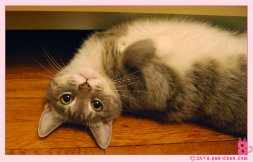 ash_noa_at_home_07.jpg