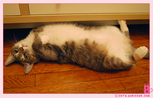 ash_noa_at_home_08.jpg