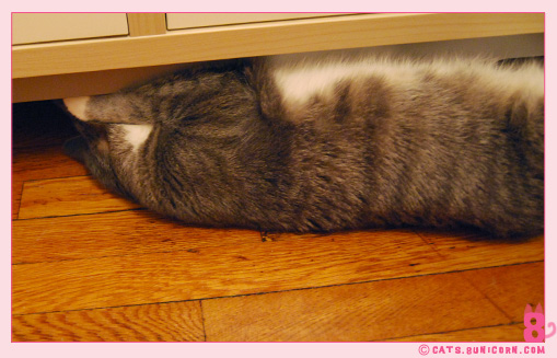 ash_noa_at_home_09.jpg