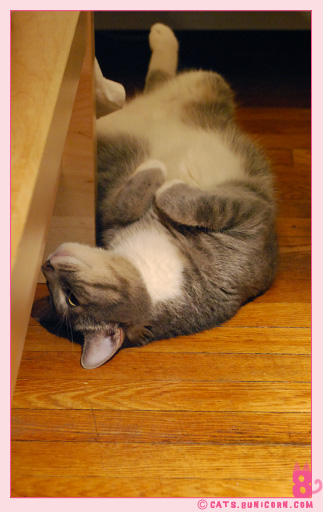ash_noa_at_home_1010.jpg
