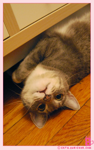 ash_noa_at_home_1011.jpg
