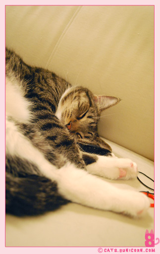 ash_noa_at_home_1012.jpg