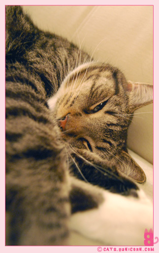 ash_noa_at_home_1013.jpg