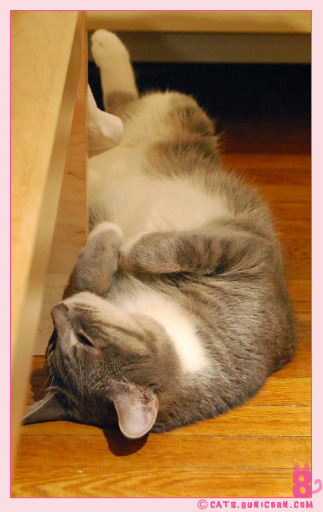 ash_noa_at_home_1015.jpg