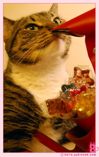 ash_noa_at_home_104.jpg
