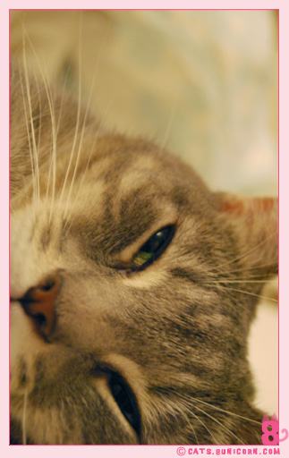 ash_noa_at_home_109.jpg