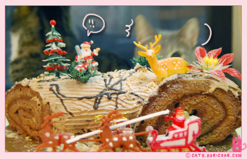 noa_ash_hohoho_2.jpg