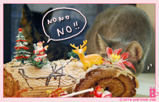 noa_ash_hohoho_3.jpg