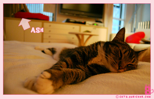 comeback_noa_ash_100.jpg