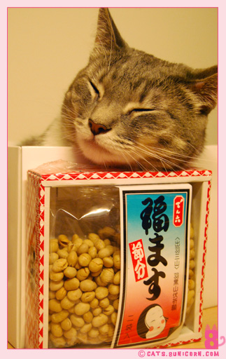 noa_ash_ash_ew_moment_05.jpg
