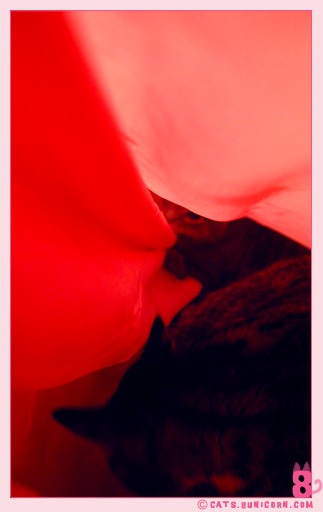 noa_ash_vday_08.jpg