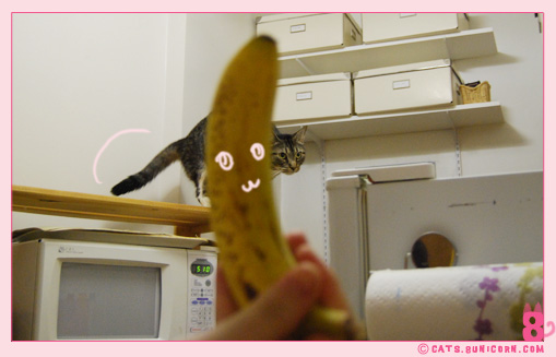 banana_noa_ash_1.jpg
