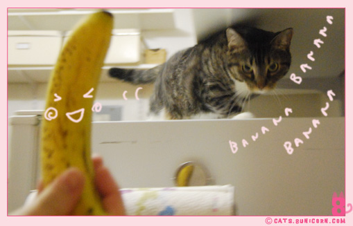 banana_noa_ash_2.jpg