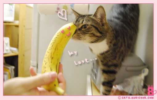banana_noa_ash_3.jpg