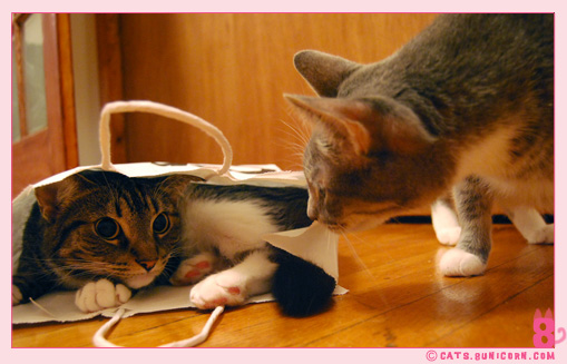 noa_ash_bag_1.jpg