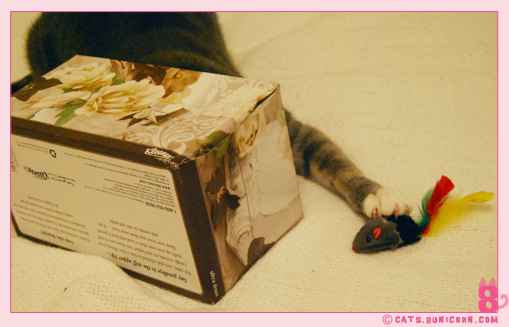 ash_mouse_toy_2.jpg