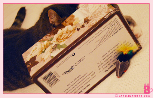 ash_mouse_toy_5.jpg