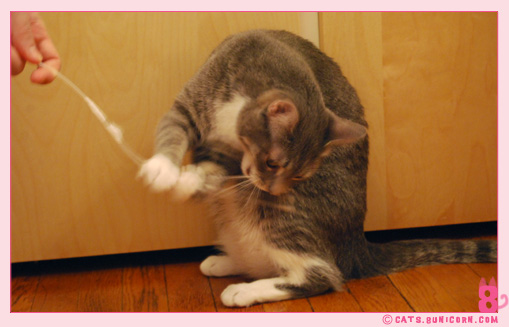 ash_sticktoy_1.jpg