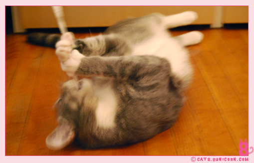ash_sticktoy_2.jpg