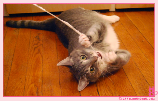 ash_sticktoy_4.jpg