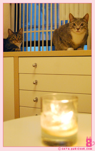 candle_noa_ash_02.jpg
