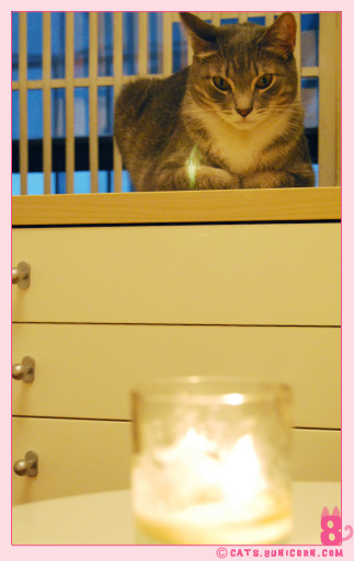 candle_noa_ash_03.jpg