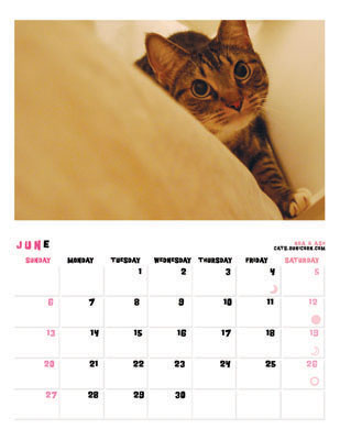 noa_ash_calendar_2010_61.jpg